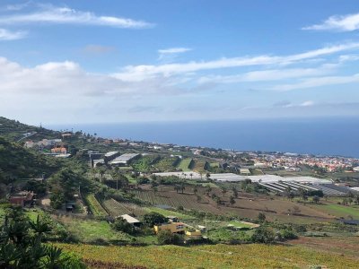 El Gobierno canario concede una ayuda de 4,1 millones para el fomento de prácticas agrarias sostenibles