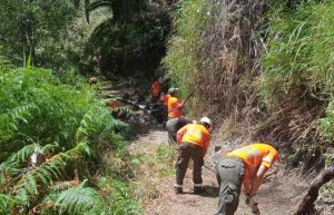 La Gomera: El Cabildo destina 3 millones de euros a mejorar la red de senderos