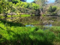 Arucas: La Vinca Ecologistas en Acci&oacute;n felicita a la ciudadan&iacute;a aruquense por la declaraci&oacute;n de Lomo Riqui&aacute;nez como Sitio de Inter&eacute;s Cient&iacute;fico