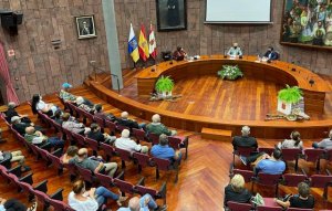 La Gomera celebra este viernes el D&iacute;a de la Familia con una jornada de actividades