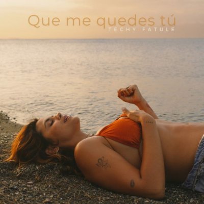 M&uacute;sica: Techy tambi&eacute;n es merengue; lanza &ldquo;Que me quedes t&uacute;&rdquo; (V&iacute;deo)