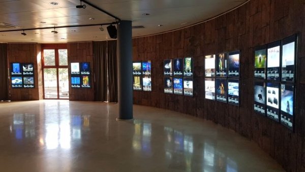La Sala de Exposiciones del Cabildo acoge la muestra ‘Fotógrafos de la Naturaleza 2022’