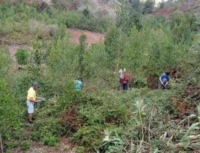 Ben Magec desarrolla una nueva acción de Ecovoluntariado en Corvo (Moya)