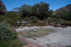 El Cabildo invierte m&aacute;s 1,2 millones de euros en varios proyectos de mejora y rehabilitaci&oacute;n del Jard&iacute;n Bot&aacute;nico Canario