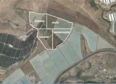 Turc&oacute;n presenta alegaciones a la declaraci&oacute;n de inter&eacute;s p&uacute;blico de la cofrad&iacute;a de plantas fotovoltaicas en G&aacute;ldar