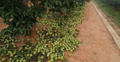 Art&iacute;culo de opini&oacute;n: 'La paja en el ojo ajeno', por Ad&aacute;n Carrilero Matas