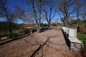 Las obras de accesibilidad del área recreativa de La Laguna de Valleseco han finalizado