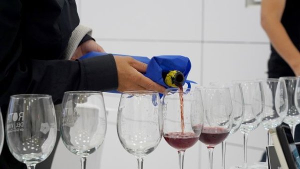 El XXVII Concurso oficial de vinos de Gran Canaria se decidirá entre 42 vinos de 13 bodegas