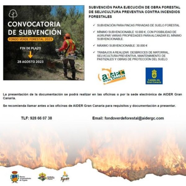 Tejeda: Subvención para la ejecución de Obra Forestal de Selvicultura Preventiva contra Incendios Forestales