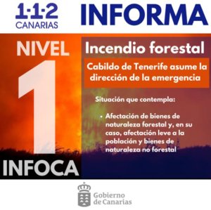 El incendio forestal de Tenerife baja a nivel 1 del INFOCA y se mantiene estabilizado