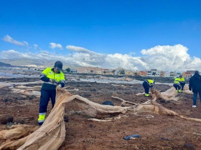 El Cabildo destina 1,5 millones para renovar la campaña de empleo para limpiar de invernaderos los aledaños del Aeropuerto