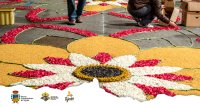 Tejeda: la Calle P&aacute;rroco Hern&aacute;ndez Guerra (Calle Nueva), permanecer&aacute; cerrada al tr&aacute;fico por las alfombras