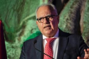 Artículo de opinión: &#039;Dos pájaros de un tiro&#039;, por Casimiro Curbelo