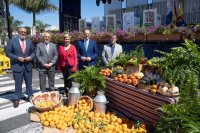 Morales celebra el aumento de la producci&oacute;n insular de diversos sectores gracias a escaparates como la Feria del Sureste