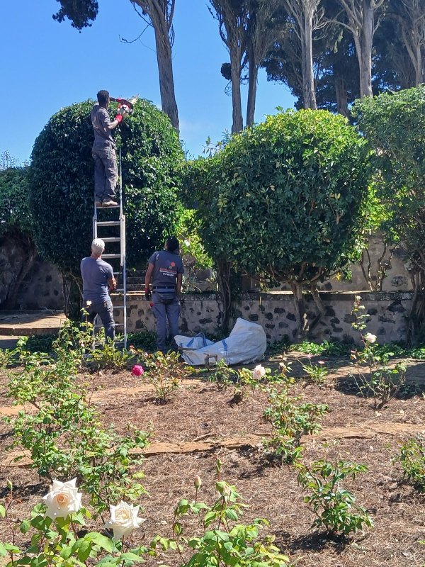 Una jornada impulsada por la Asociación Incluye propondrá estrategias para la inserción sociolaboral de las personas migrantes