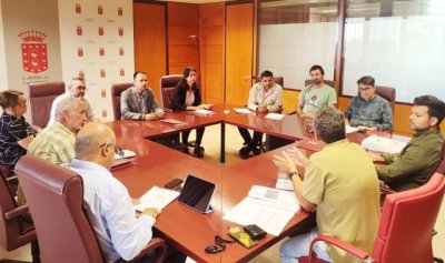 El Gobierno canario y el Cabildo de La Gomera refuerzan la colaboraci&oacute;n en el control del picud&iacute;n en palmeras