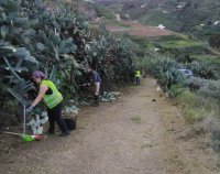 Guía: Proyecto ‘Ruralia 2022’ destinado a la limpieza y mejora de las vías rurales y los espacios públicos