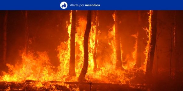 Alerta por Riesgo de Incendios Forestales en El Hierro, La Palma, La Gomera, Tenerife y Gran Canaria