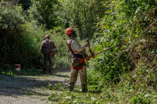 Valleseco intensifica el desbroce de carreteras y caminos para afrontar el verano con mayor seguridad