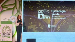 Canarias presenta su Estrategia Verde en infraestructuras viarias en el VI Congreso Andaluz de la Carretera