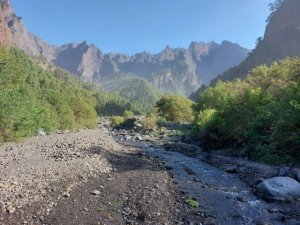 Transición Ecológica invierte 400.000 euros para el control de exóticas invasoras en la Caldera de Taburiente