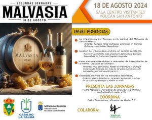 La Palma: La II Jornada de Malvasía Aromática aborda en Fuencaliente los retos del sector vitivinícola palmero