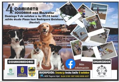 AES Tagoror Ajei les invita a participar el pr&oacute;ximo domingo d&iacute;a 9 de octubre a la IV Caminata Solidaria con Mascotas