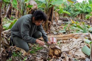 La creadora italiana Giuliana Conte impartirá los días 9 y 10 de junio un Taller de Grabado