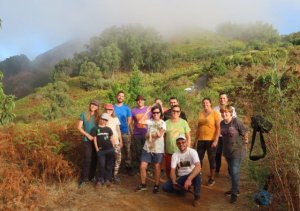Firgas: Regados más de un centenar de árboles de laurisilva en la Finca de La Cazuela