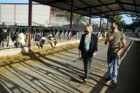 El Gobierno regional concede una ayuda de 7,6 millones a 1.077 productores ganaderos afectados por la pandemia