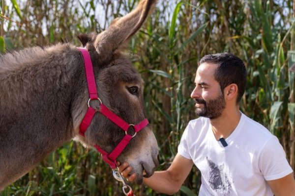 Valleseco: La Noche M&aacute;gica del Burro se traslada a Valsendero para celebrar su tercera edici&oacute;n
