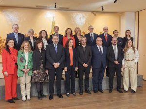 Canarias pide que varios colegios oficiales formen parte de la Comisión Técnica del Plan de Salud Mental