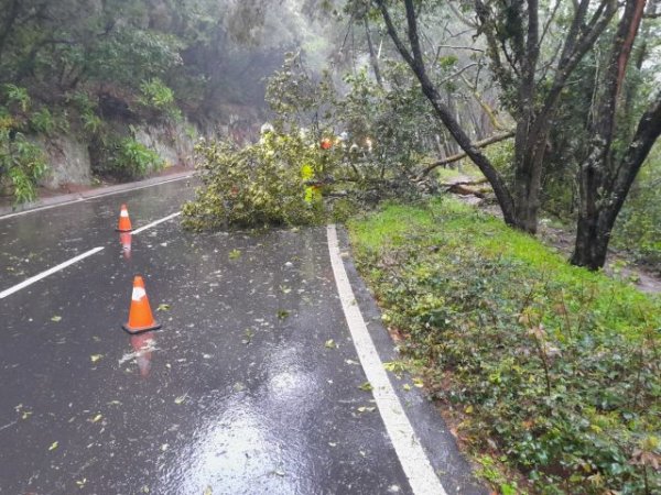 La Gomera: El operativo de carreteras actúa en una veintena de incidencias por fenómenos meteorológicos