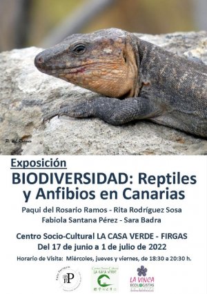 El viernes 17 de junio se abre en La Casa Verde de Firgas la Exposición “Biodiversidad: Reptiles y Anfibios en Canarias”