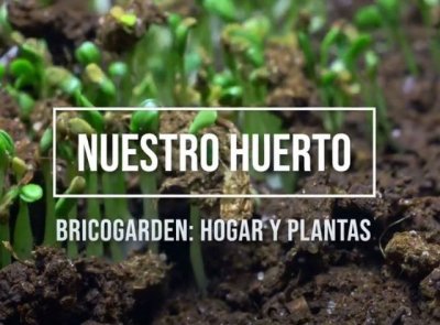 Villa de Firgas: Taller de huerto urbano 'La despensa en la azotea' (V&iacute;deo)