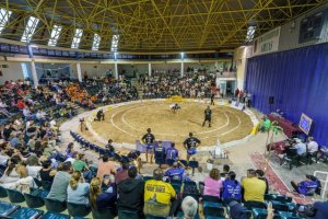 Lucha Canaria: Arucas vibra con las Finales de Base de la Copa Fundación La Caja de Canarias