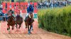 El espect&aacute;culo de las carreras de caballos vuelve este s&aacute;bado al hip&oacute;dromo de La Laguna de Valleseco