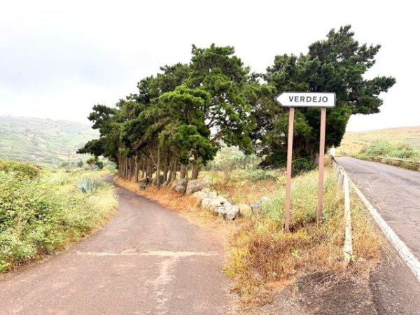 El Ayuntamiento de Gu&iacute;a licitar&aacute; en breve el reasfaltado integral de la carretera de acceso a Verdejo