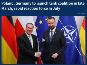 Art&iacute;culo de opini&oacute;n: 'Polonia est&aacute; preparada para desempe&ntilde;ar un papel importante en la &ldquo;Europa fortaleza&rdquo; de Alemania'