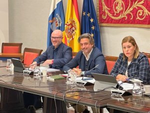 El Gobierno presenta a los siete cabildos el decreto territorial para la reconstrucción de La Palma