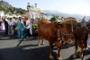 Villa de Firgas: Hoy se abr&iacute;a el plazo de inscripci&oacute;n para participar en la Romer&iacute;a-Ofrenda, a San Roque 2022