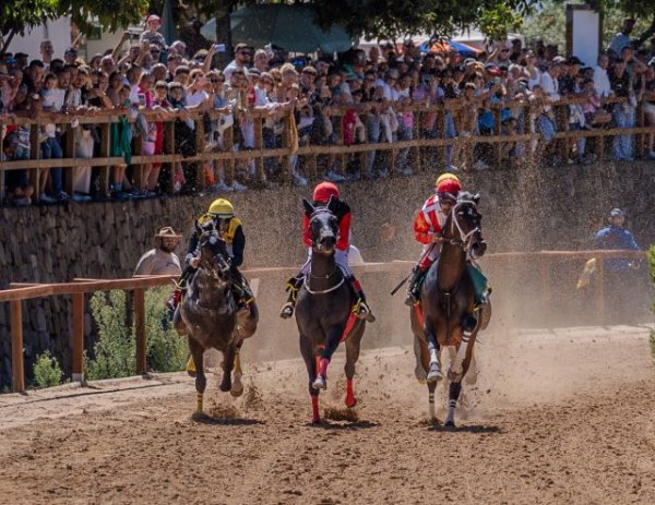 Domingo de emoci&oacute;n en el Hip&oacute;dromo de La Laguna de Valleseco: siete carreras decisivas rumbo al t&iacute;tulo