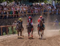 Domingo de emoci&oacute;n en el Hip&oacute;dromo de La Laguna de Valleseco: siete carreras decisivas rumbo al t&iacute;tulo