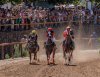 Domingo de emoci&oacute;n en el Hip&oacute;dromo de La Laguna de Valleseco: siete carreras decisivas rumbo al t&iacute;tulo