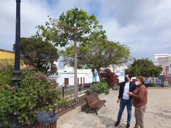Parques y Jardines acondiciona y mejora la Plaza de San Isidro de Gáldar