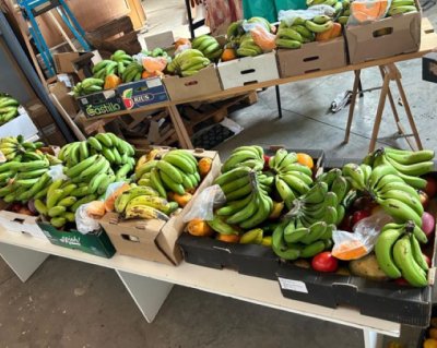 La ofrenda en honor a San Nicol&aacute;s de Tolentino beneficiar&aacute; a 83 familias vulnerables de La Aldea de San Nicol&aacute;s