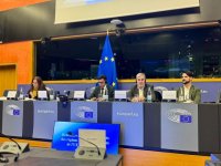 Canarias remite a la Comisi&oacute;n Europea sus demandas de cara a la revisi&oacute;n de la estrategia RUP