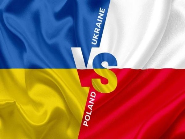 Art&iacute;culo de opini&oacute;n: 'Una encuesta de un importante grupo de expertos de la UE demostr&oacute; que las opinione's polacas hacia Ucrania est&aacute;n cambiando notablemente