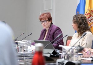 Los centros de crisis contra la violencia sexual se convierten, en su primer a&ntilde;o, en referente para mujeres agredidas y sus familias