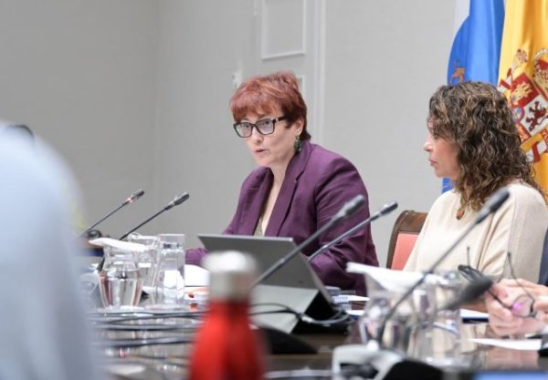 Los centros de crisis contra la violencia sexual se convierten, en su primer a&ntilde;o, en referente para mujeres agredidas y sus familias